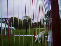 Willow Harbor Vineyard, Three Oaks, Michigan, Wedding and Harp Music