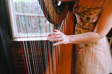 Lake Como Wedding Harpist