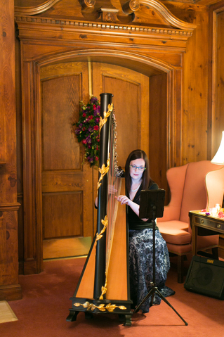 Southwest Missouri Wedding Harpist