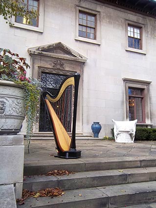 Northern Ohio Wedding Harpist